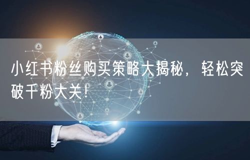 小红书粉丝购买策略大揭秘，轻松突破千粉大