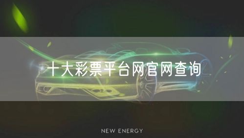 十大彩票平台网官网查询