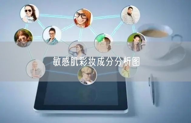 敏感肌彩妆成分分析图