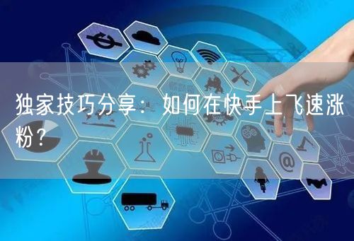 独家技巧分享：如何在快手上飞速涨粉？
