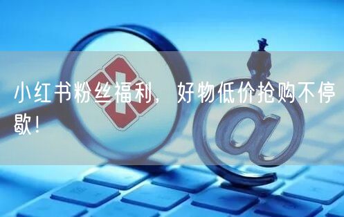 小红书粉丝福利，好物低价抢购不停歇！