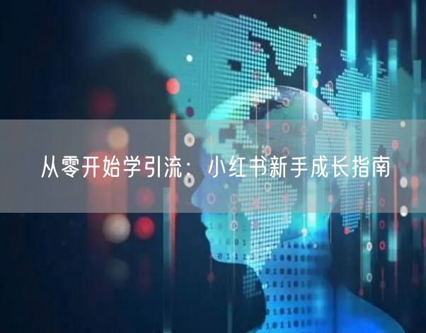 从零开始学引流：小红书新手成长指南