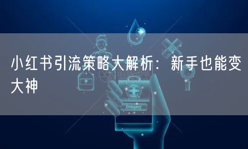 小红书引流策略大解析：新手也能变大神