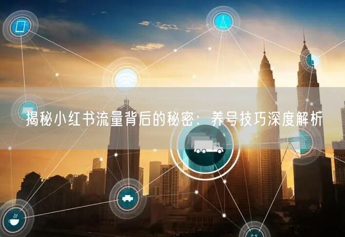 揭秘小红书流量背后的秘密：养号技巧深度解