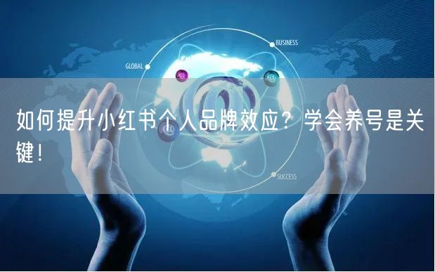 如何提升小红书个人品牌效应？学会养号是关
