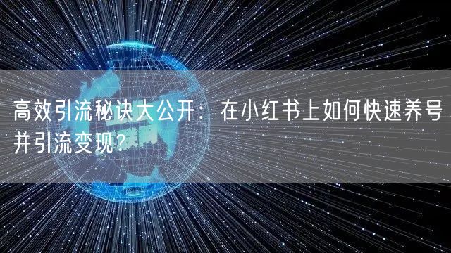 高效引流秘诀大公开：在小红书上如何快速养