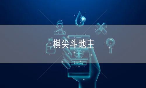 棋尖斗地主