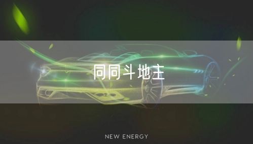 同同斗地主