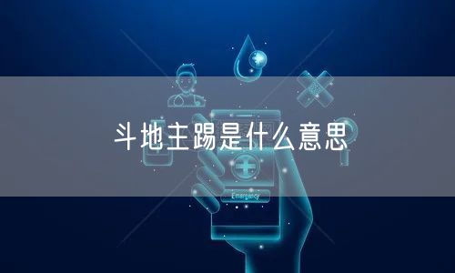 斗地主踢是什么意思