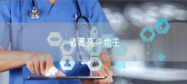 诸葛亮斗地主
